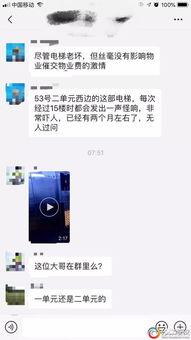 河畔网友爆料视频,一场令人震惊的事件现场